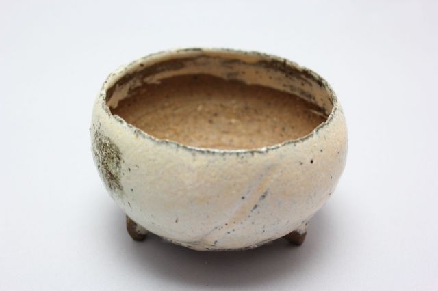 和田桂子作,ムーン・ティアラ・アクション,4号,ミニ盆栽,植木鉢
