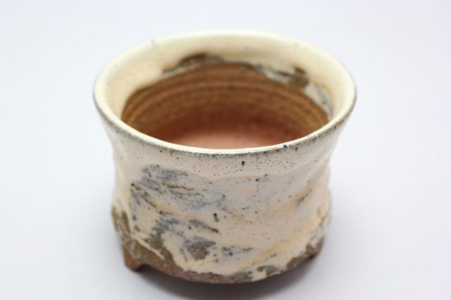 和田桂子作,ムーン・ヒーリングエスカレーション,4号,ミニ盆栽,植木鉢