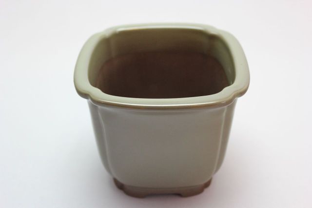 正方隅入,ソバ,3.5号,瀬戸焼,植木鉢
