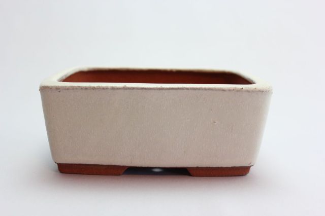 燿山長角切立中深,5号,常滑焼,植木鉢,盆栽鉢