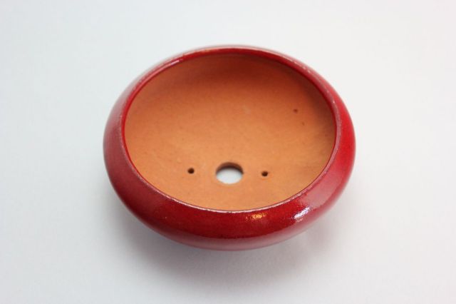 燿山赤丸盆栽鉢