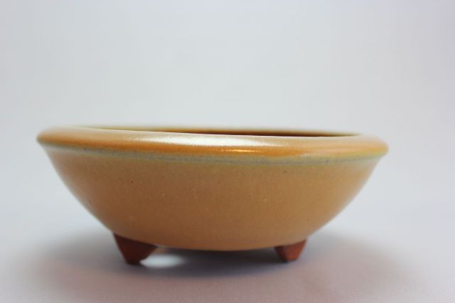 燿山黄丸陣笠足付,5号,常滑焼,植木鉢,盆栽鉢