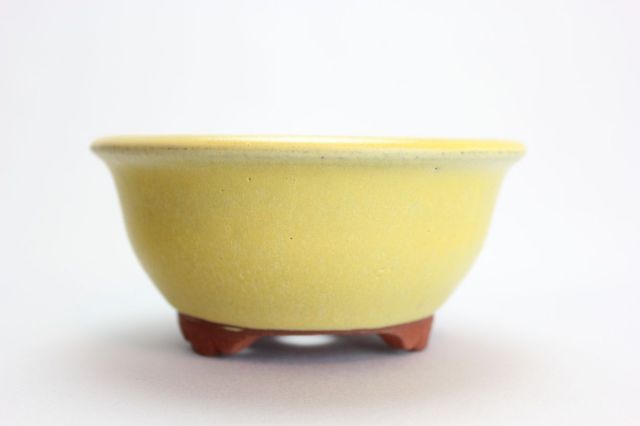 燿山黄丸深陣笠足付,4号,常滑焼,植木鉢,盆栽鉢