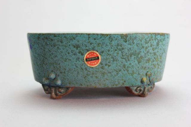 秀峰,小判雲足青,4.5号,常滑焼,植木鉢