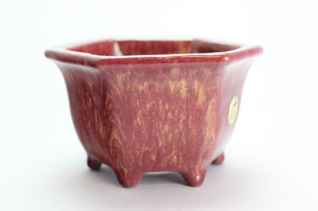秀峰,六角エン付深,4号,常滑焼,植木鉢