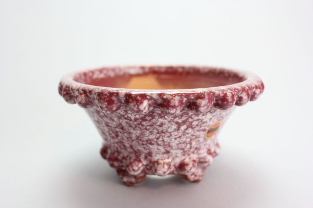 秀峰,丸鉄打,4号,常滑焼,植木鉢