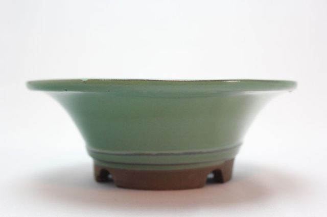 陣笠中深,織部,6号,萬古焼,植木鉢