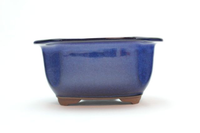 モッコ,生子,5号,萬古焼,植木鉢