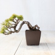 10,000円～19,999円