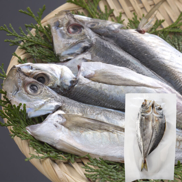 その他商品 和田珍味オンラインショップ