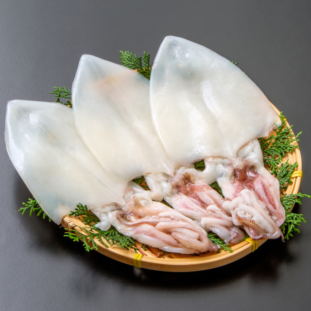 白いか一夜干3枚 箱入 S29 (2457) 和田珍味オンラインショップ