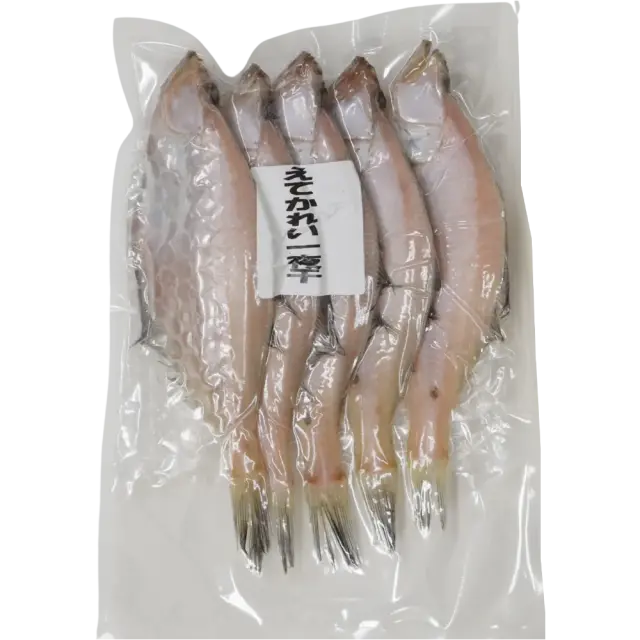 かれい一夜干小10尾セット