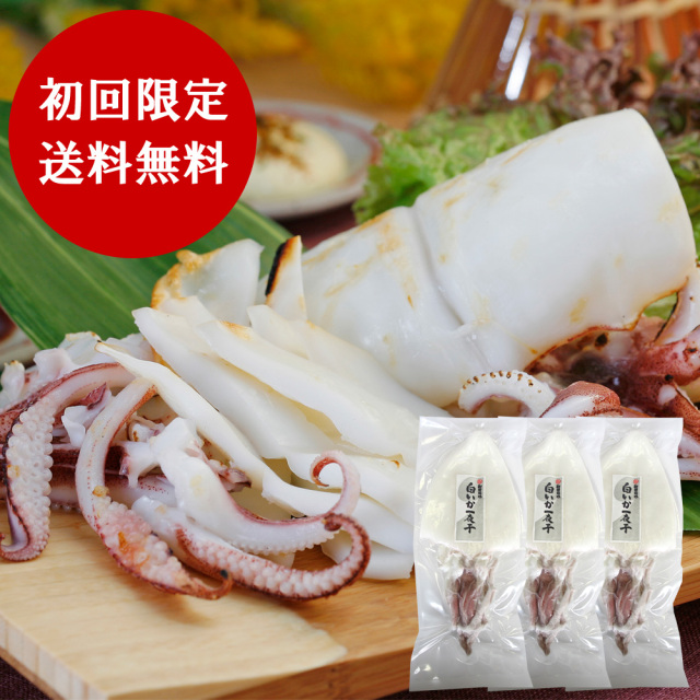 初回限定・送料無料】国産「釣りもの」だけを使用！白いか一夜干3枚お