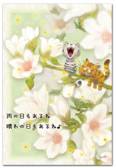 晴れの日もあるよ