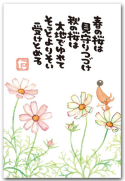 秋桜