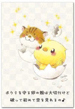 卵の殻