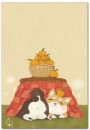 こたつ柴犬