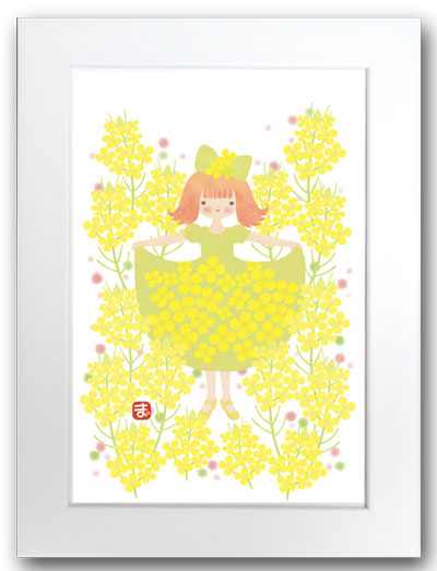 菜の花白