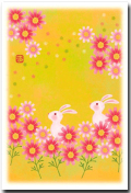 秋桜