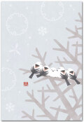 冬の野鳥