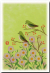 野菊