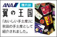 翼の王国リンク