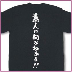 素人に何がわかる！！