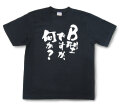 おもしろtシャツ『B型ですが、何か？』（半袖）【送料無料】
