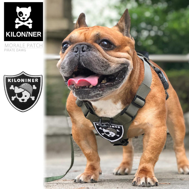 ★カートで割引対象品★【即日出荷対応】KILONINER キロナイナー モラルパッチ Pirate Dawg【Sx】【T】