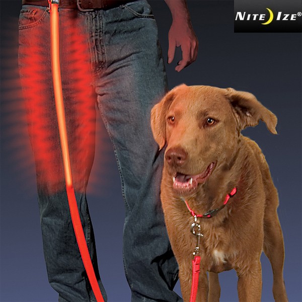 ★カートで割引対象品★NITE IZE ナイトアイズ  LIGHT UP DOG LEAD ライトアップ ドッグリード【T】