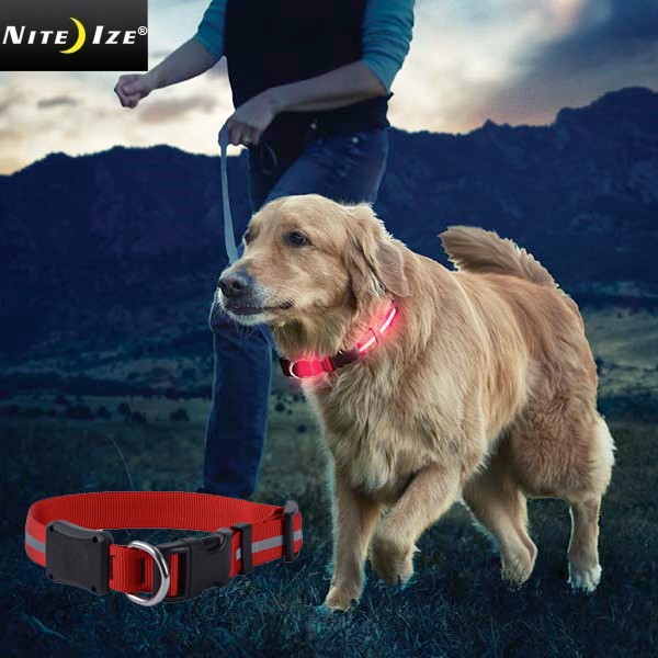 ★カートで割引対象品★NITE IZE ナイトアイズ  LIGHT UP DOG COLLAR ライトアップ ドッグカラー【T】