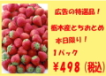 耐水ホワイトフィルム　TWFA３D　A３大（４３６mm×３２０mm）　５０枚入