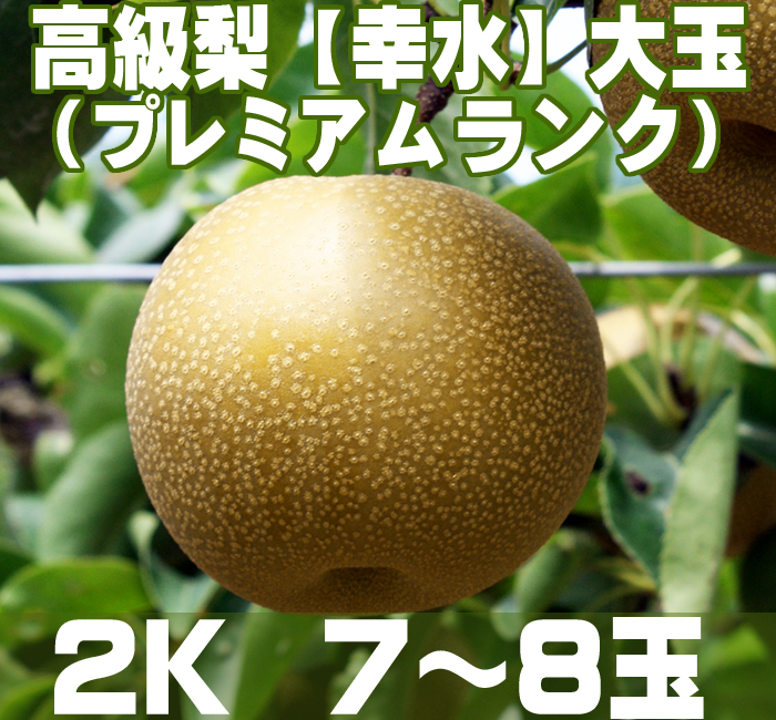 温室栽培のプレミアムランク【幸水】梨2K (7～8玉)