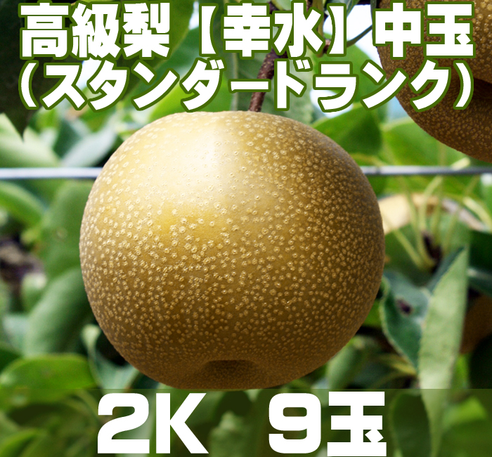 温室栽培のスタンダードランク【幸水】梨2K (9玉)