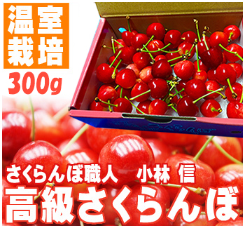 さくらんぼ300g