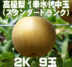 温室栽培のスタンダードランク【幸水】梨2K (9玉)