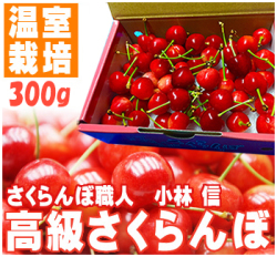 さくらんぼ300g