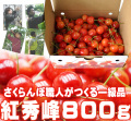 さくらんぼ（紅秀峰）800g