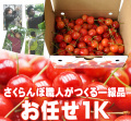さくらんぼ（高砂・お任せ）1K