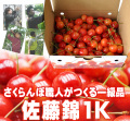さくらんぼ（佐藤錦）1K