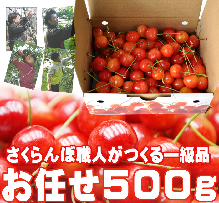 さくらんぼ（高砂・お任せ）500g