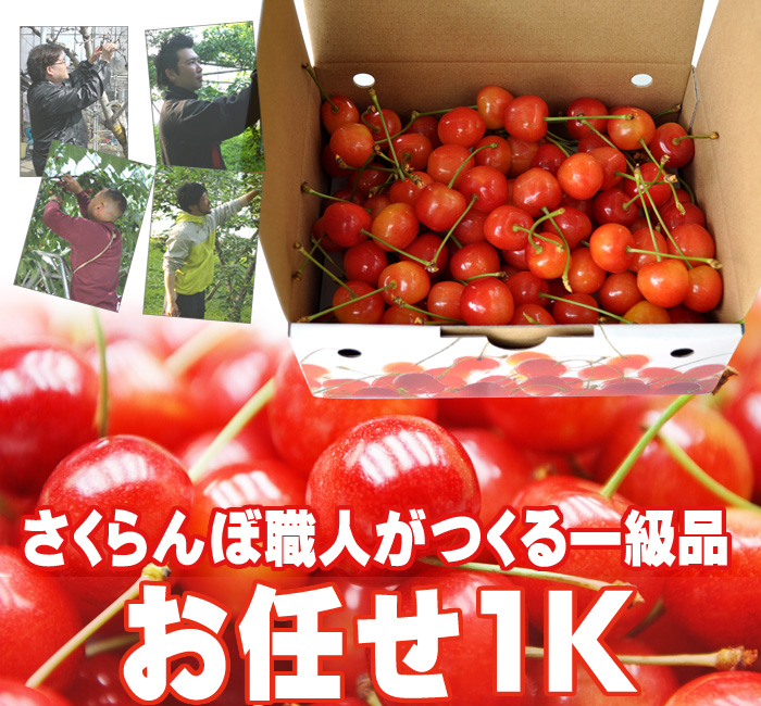さくらんぼ（高砂・お任せ）1K(キロ) | 山梨県南アルプス市