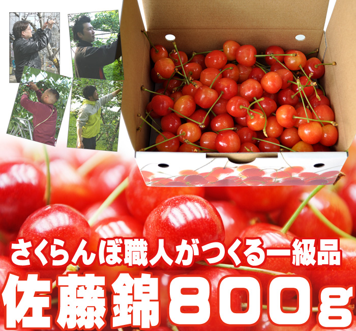 さくらんぼ（佐藤錦）800g