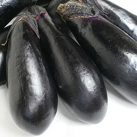 ななすです！ とってもナイスな『ナス』1.0kg