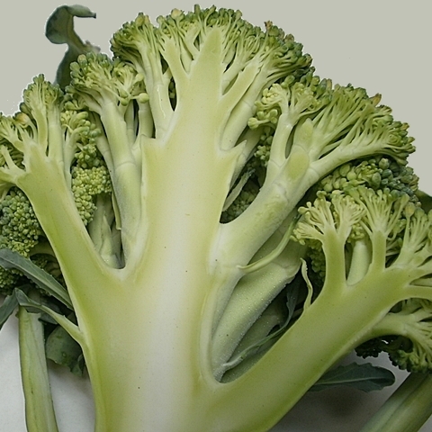 野菜ソムリエ