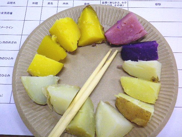 ジャガイモ講座
