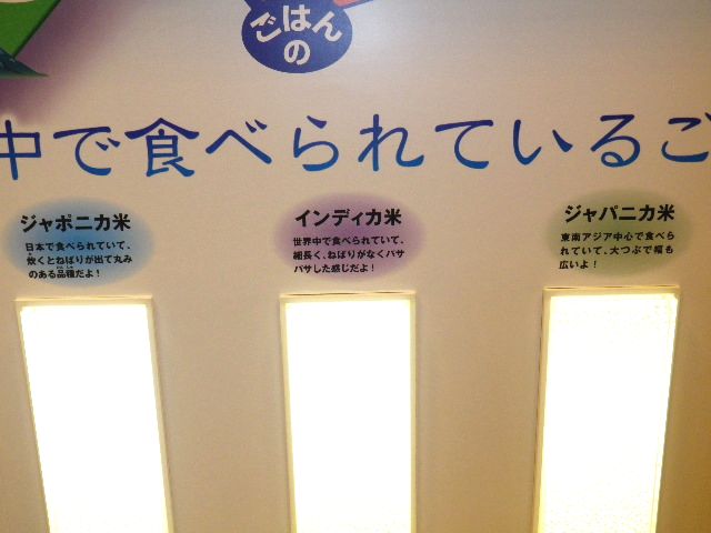 ﾊﾟｰﾙﾗｲｽ工場