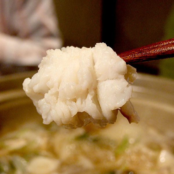 ただいま順次出荷中！天然紀州和歌山産[活鱧]はも鮮度抜群！【約４００ｇ×２セット】６～８人前（送料無料）紀州産／２～１５営業日で順次出荷中