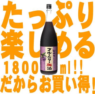 紀州のブルーベリー梅酒1800ml中野BC【和歌山県産】【果実酒】