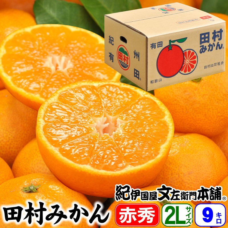 【予約販売】田村みかん・特選ギフト品 赤秀【ＬＬサイズ】9kg(約60果前後) 有田みかんの最高ブランド 紀州 和歌山 高級みかん【送料無料】／11月下旬頃から順次発送予定